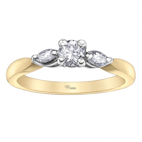 Bague dame diamants 10kt AM530