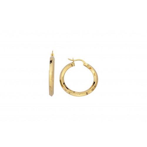 Boucles d'oreilles en or 10kt. VI40-2